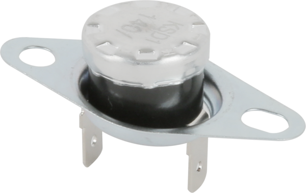 10026285 Termopojistka Bosch | Siemens