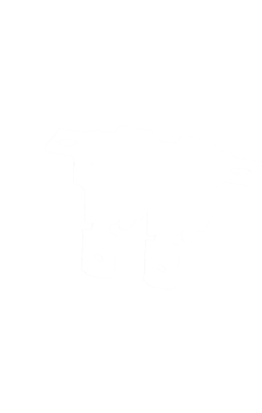 00424612 Ochranný termostat