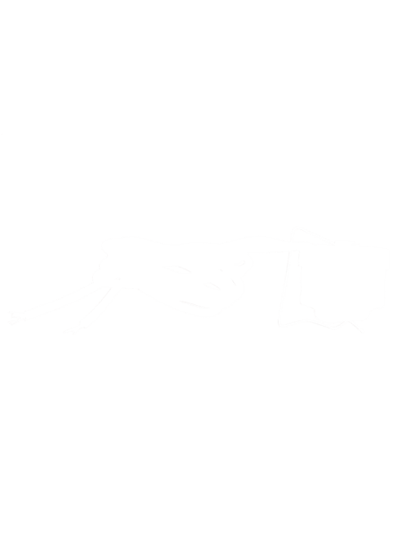 00490319 Termostat Bosch | Siemens